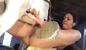 animal fode garota,bestialidade de cavalo