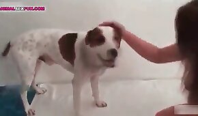 submisso,sexo de cachorro