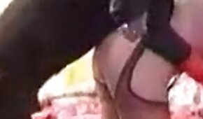 sexo de cachorro,mulher e animal