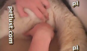 sexo de cachorro,fodendo com animais