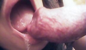 sexo de cachorro,sexo com animais