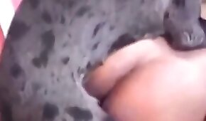 sexo de cachorro,animal fode garota