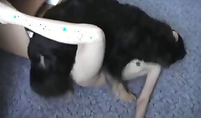 sexo com animais,zoológico foda pornô