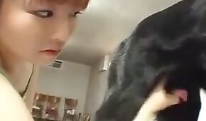 sexo com animais,vídeos de bestialidade