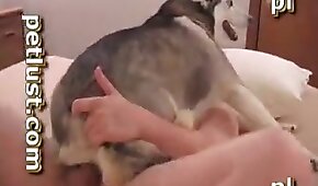 fodendo com animais,vídeos pornográficos de animais