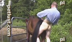 bestialidade de cavalo,zoológico foda pornô